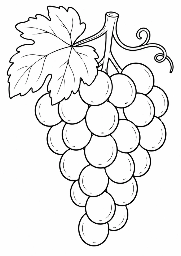 Risco de frutas para pintura em pano de prato