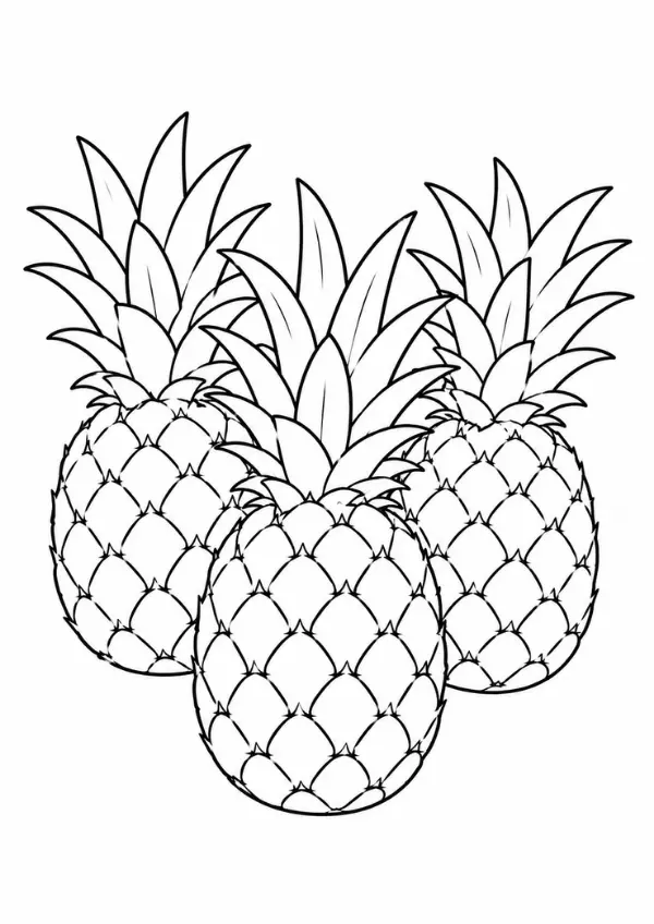 Risco de frutas para pintura em tecido