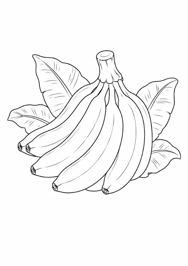 Modelo de risco de frutas